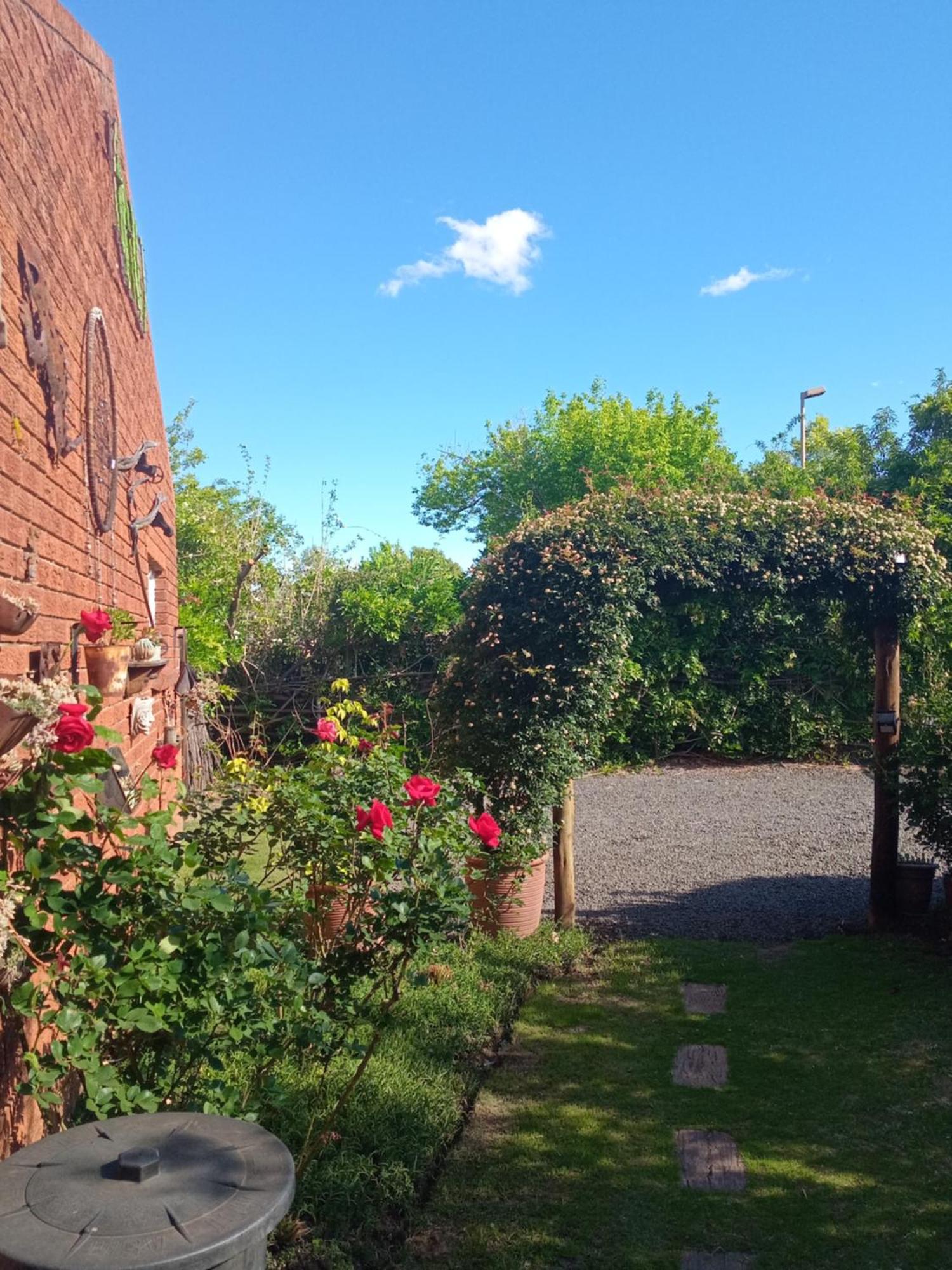 Amani Guest House 克拉伦斯 外观 照片